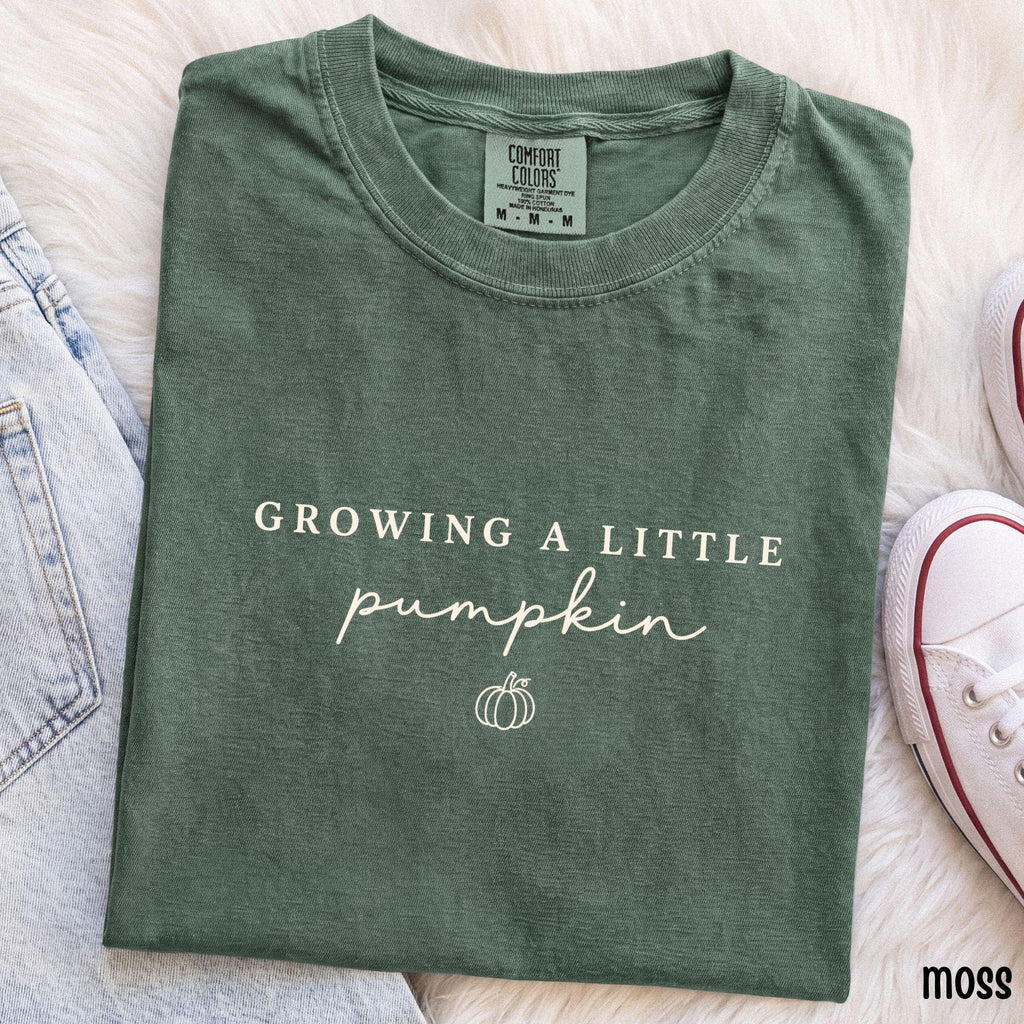 Growing Little Pumpkin Comfort Colors Pregnancy Tee Fall Maternity Pumpkin Pregnancy Announcement (2)