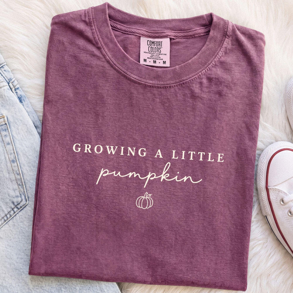 Growing Little Pumpkin Comfort Colors Pregnancy Tee Fall Maternity Pumpkin Pregnancy Announcement (3)