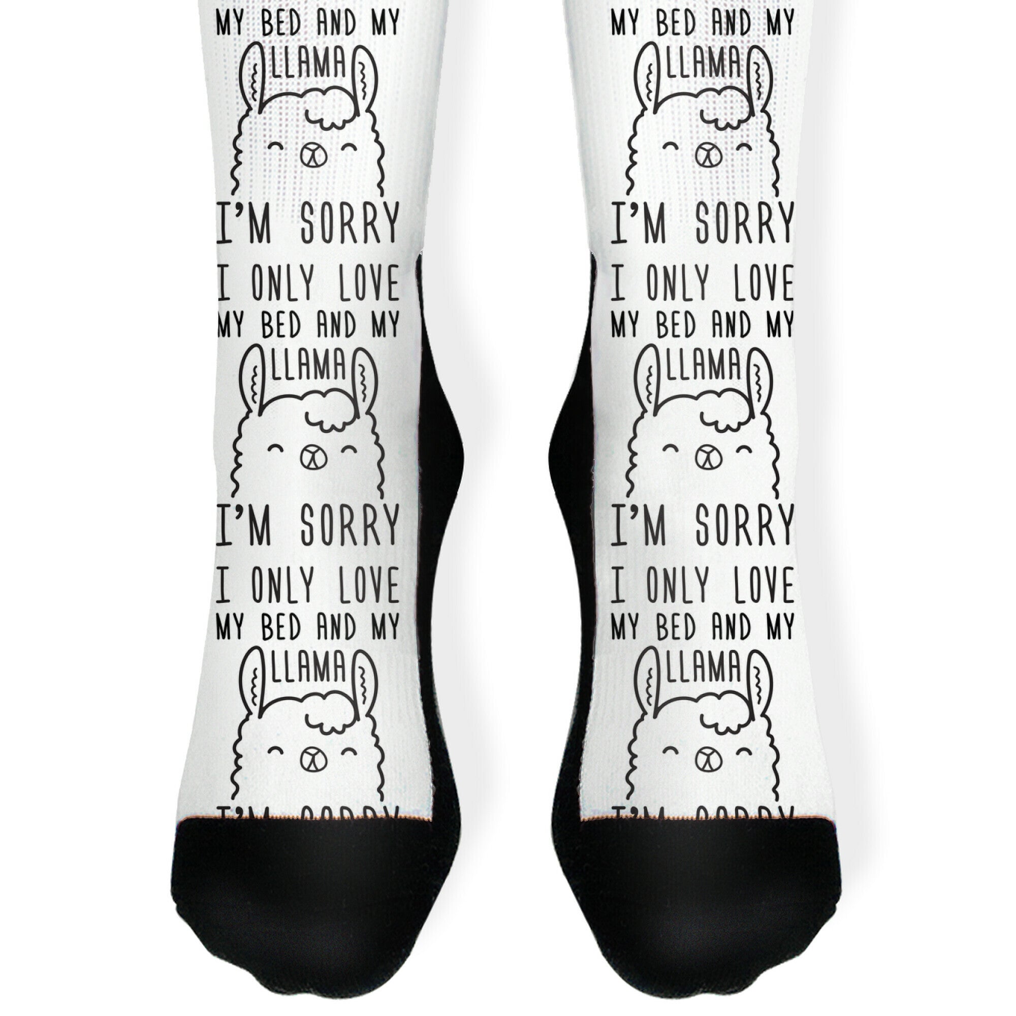 I Only Love My Bed And My Llama, I'm Sorry Socks