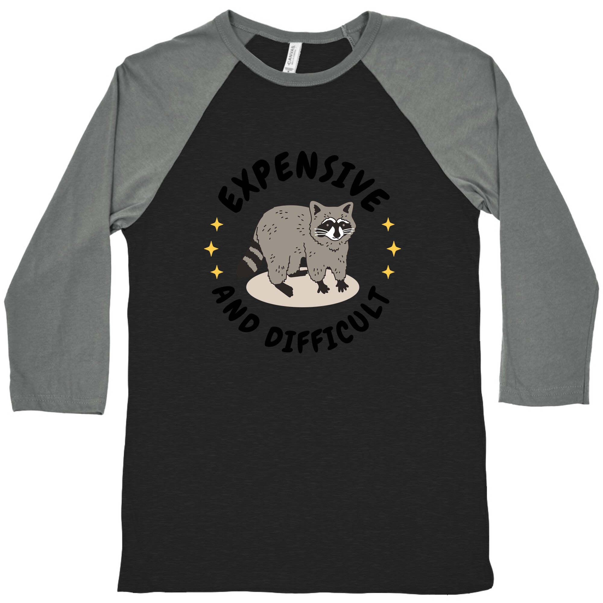 Expensive and Difficult Trash Animal Baseball Tee