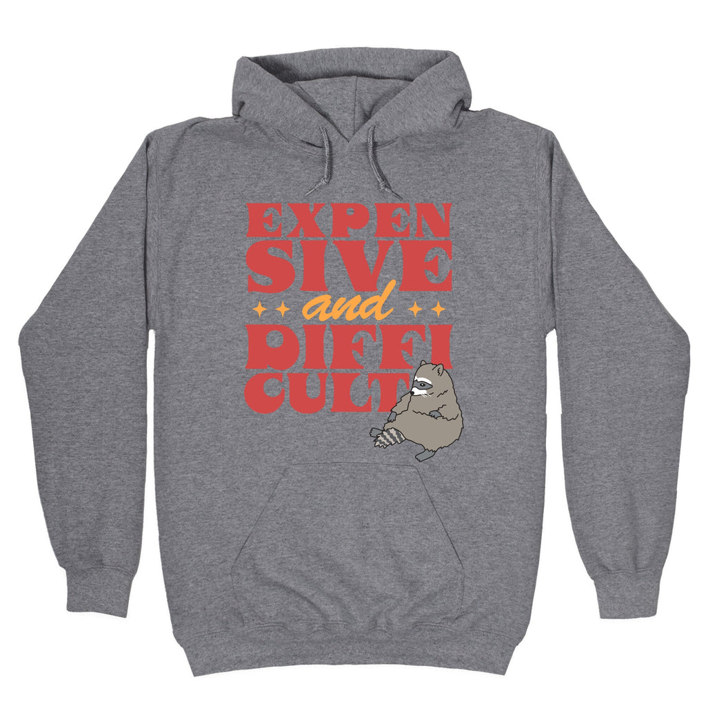 Raccoon Expensive and Difficult Hoodie