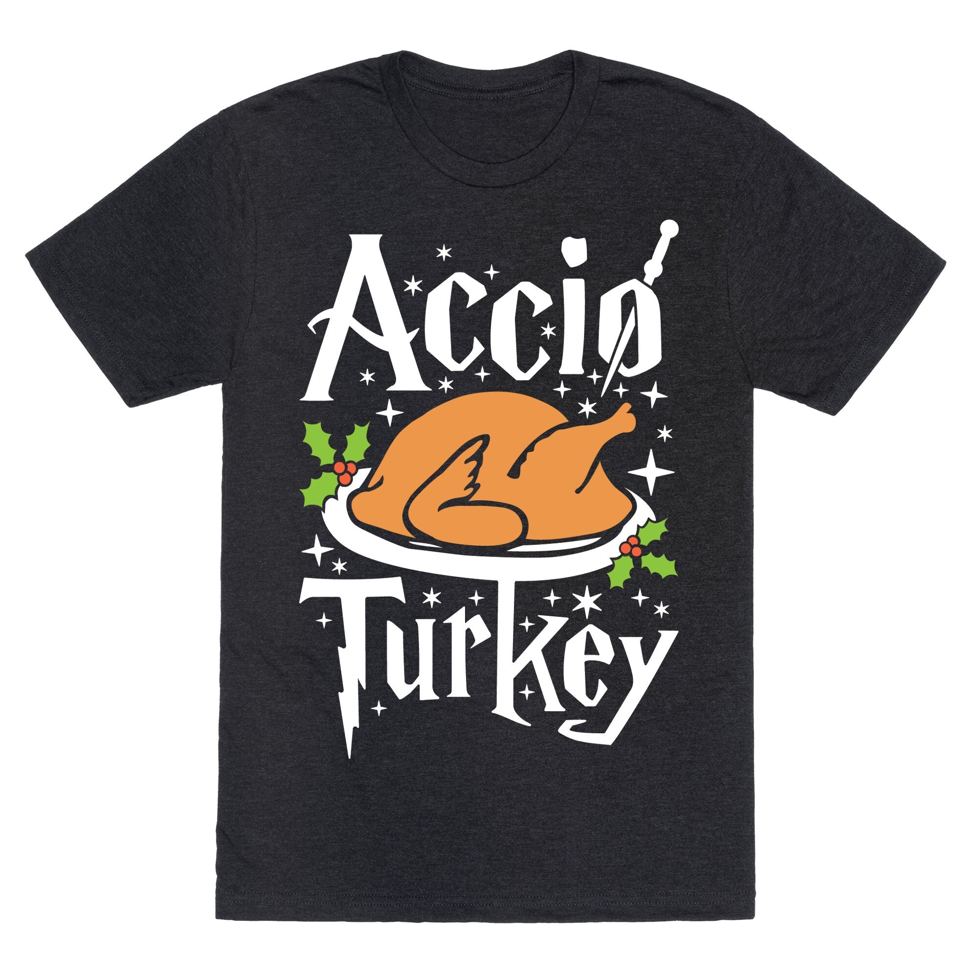 Accio Turkey Unisex Triblend Tee