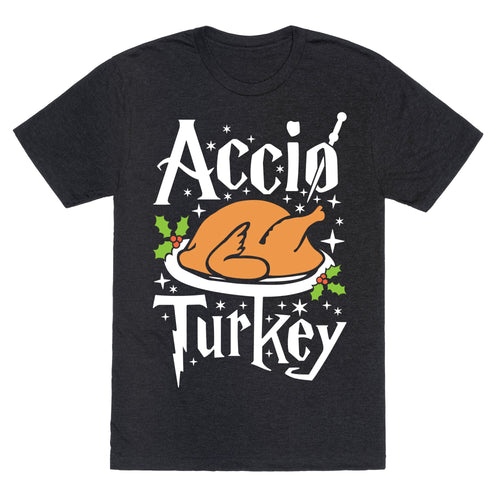 Accio Turkey Unisex Triblend Tee