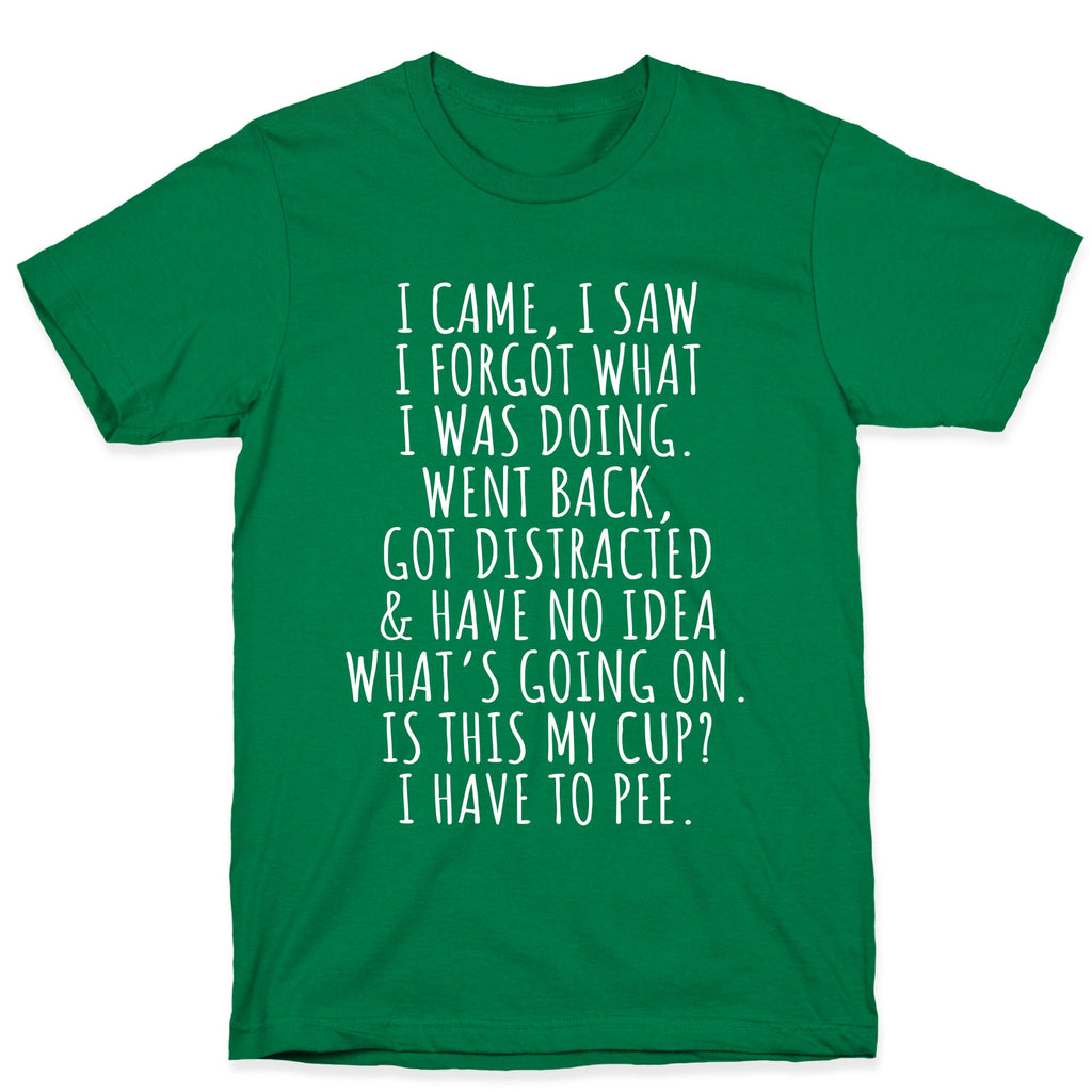I Came I Saw I Forgot What I Was Doing T-Shirt