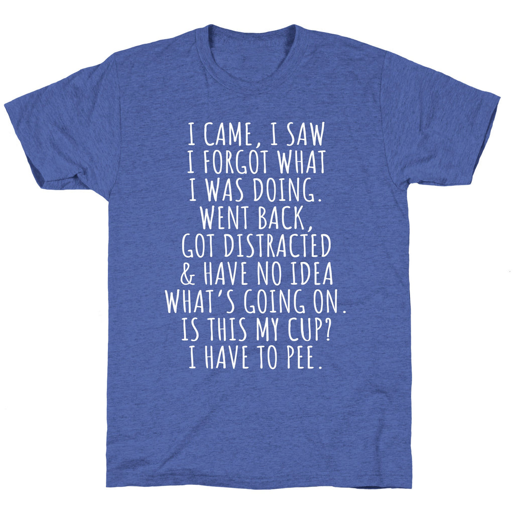 I Came I Saw I Forgot What I Was Doing Unisex Triblend Tee