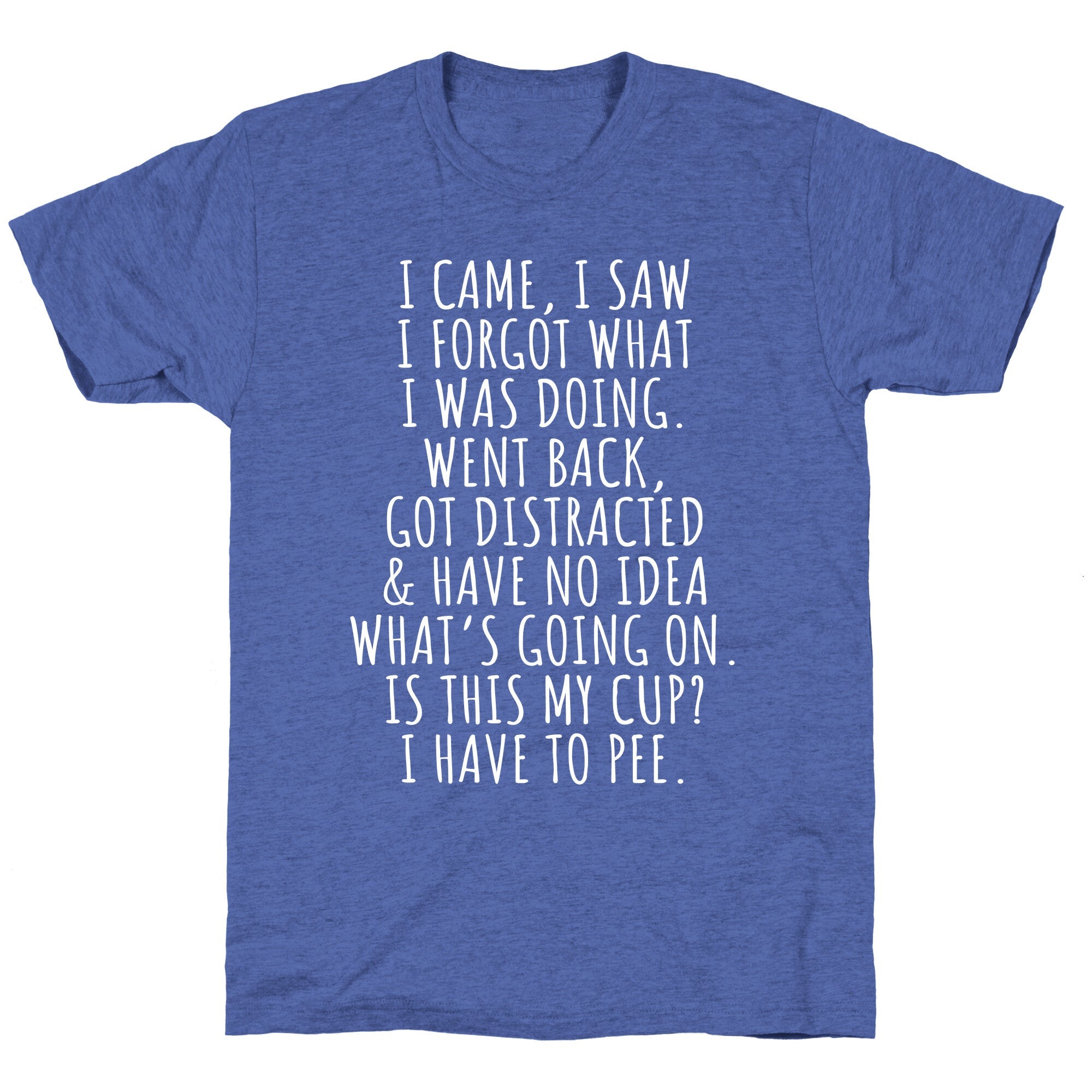 I Came I Saw I Forgot What I Was Doing Unisex Triblend Tee