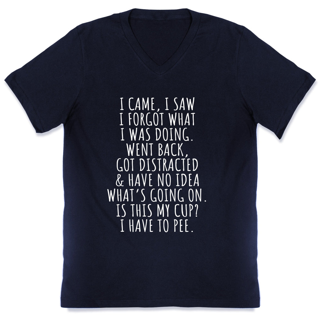 I Came I Saw I Forgot What I Was Doing V-Neck