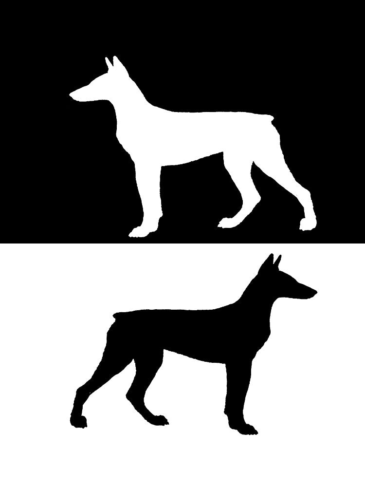 Doberman Pinscher by DelirusFurittus