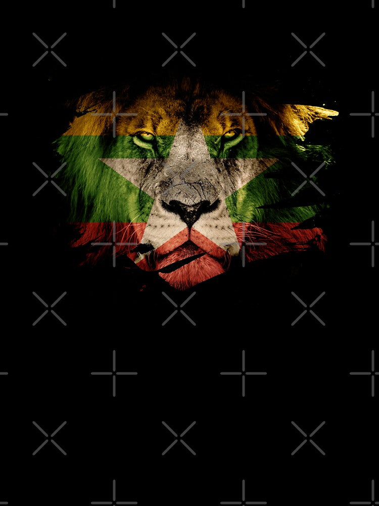 Myanmar Flag & African Lion Picture by ockshirts