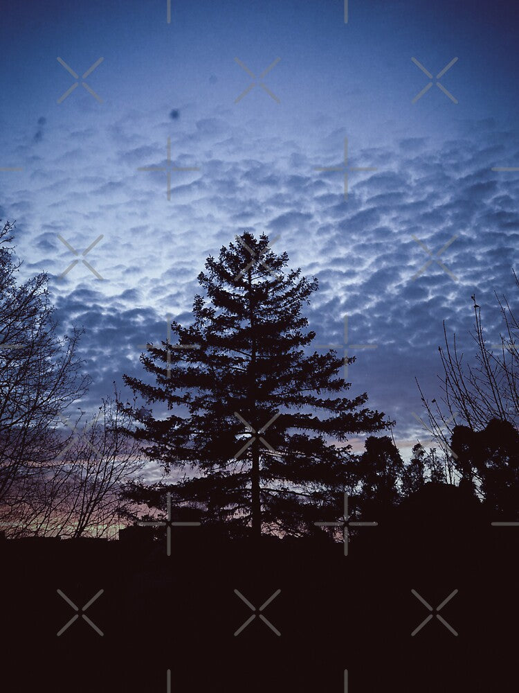 dazecore sunset trees landscape photography by sielexis