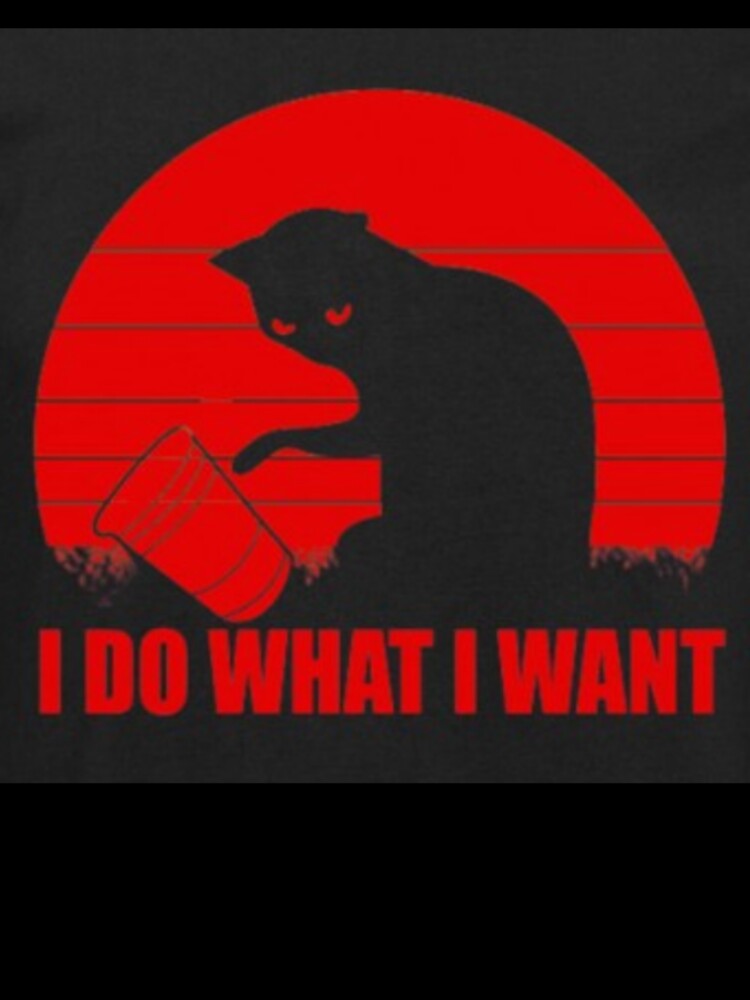I Do What I Want Printed T-Shirt by storeInsight