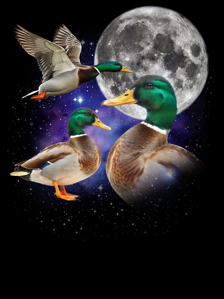 Three Duck Retro Graphic by JamesDriggers