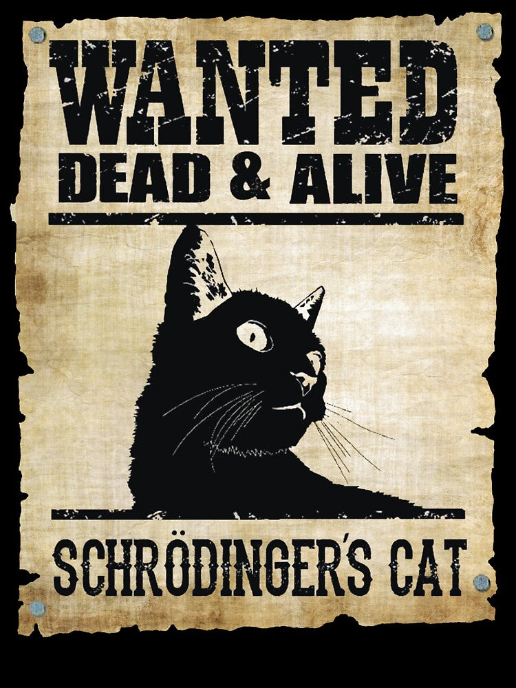 Schrodinger's Cat Poster by Fairyjam