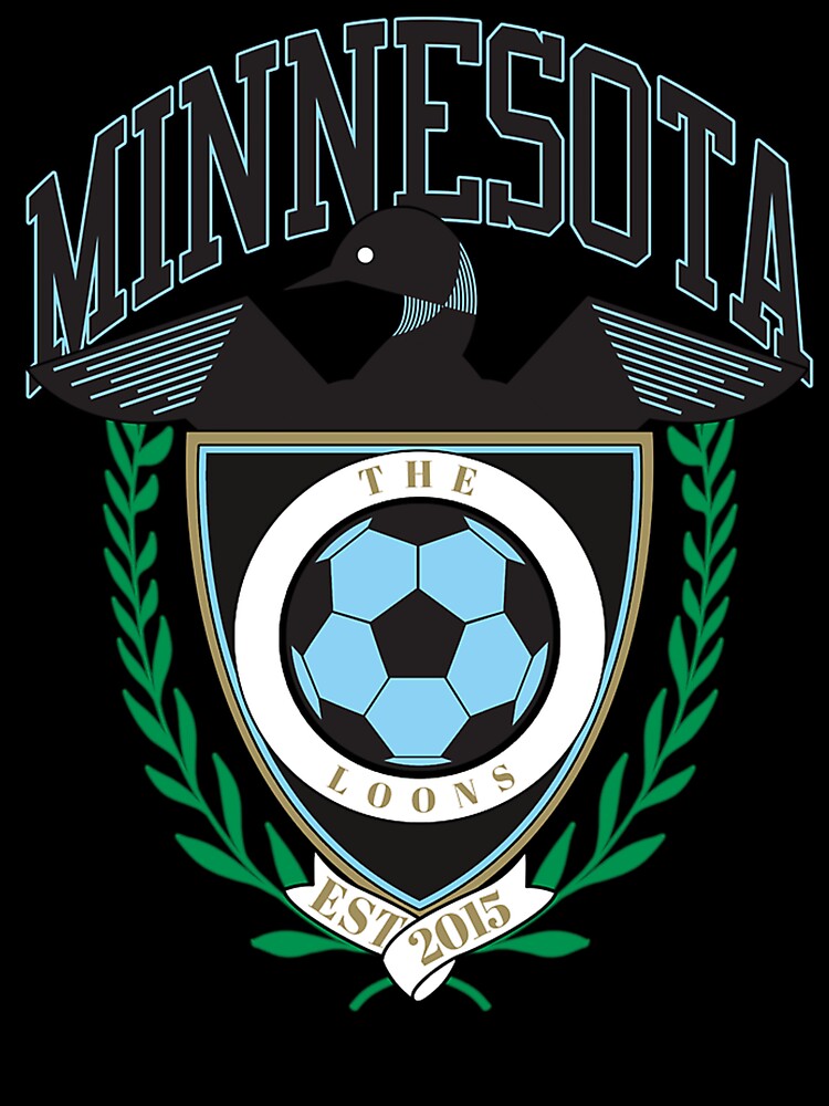 Minnesota Soccer by egment