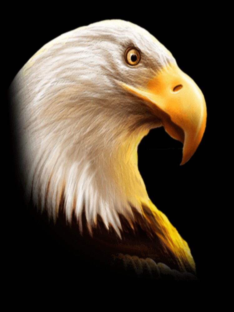 Eagle gaze by urbanshop7