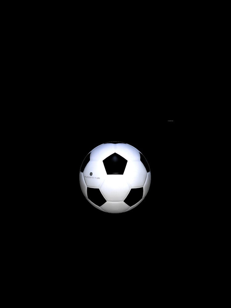 Soccer Victory Slogan by teepossible