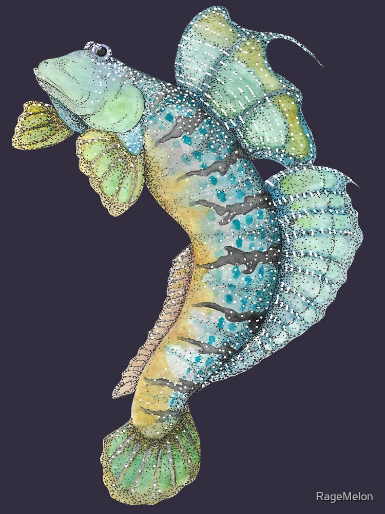 Watercolour Mudskipper by RageMelon