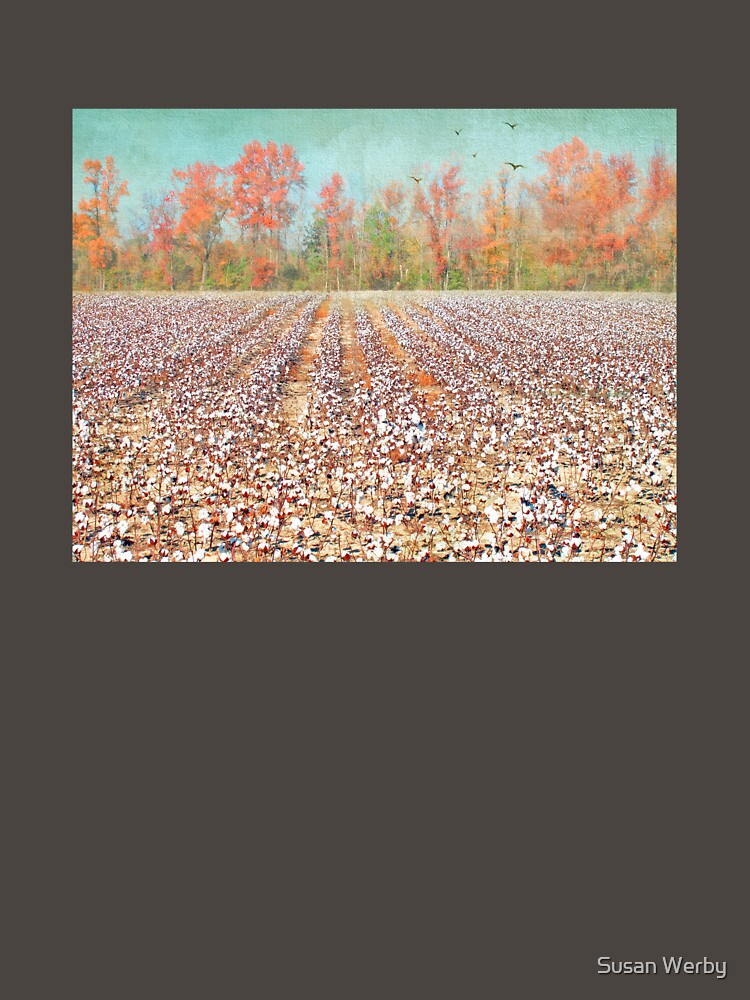 Fields of White by Susan Werby