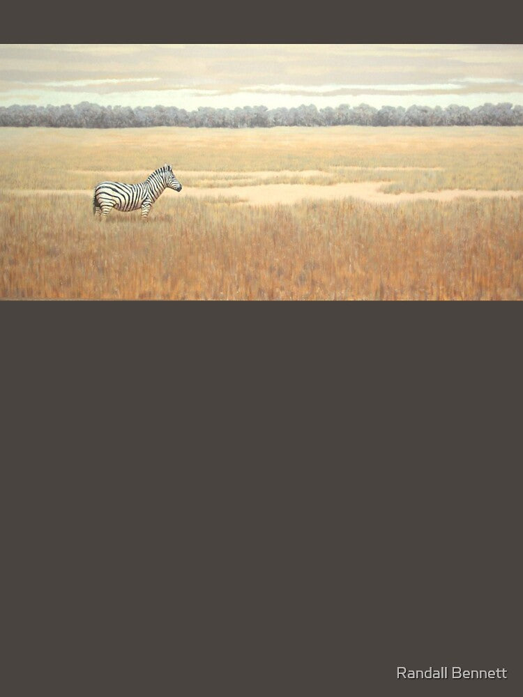 Lone zebra on grassy plain by Randall Bennett