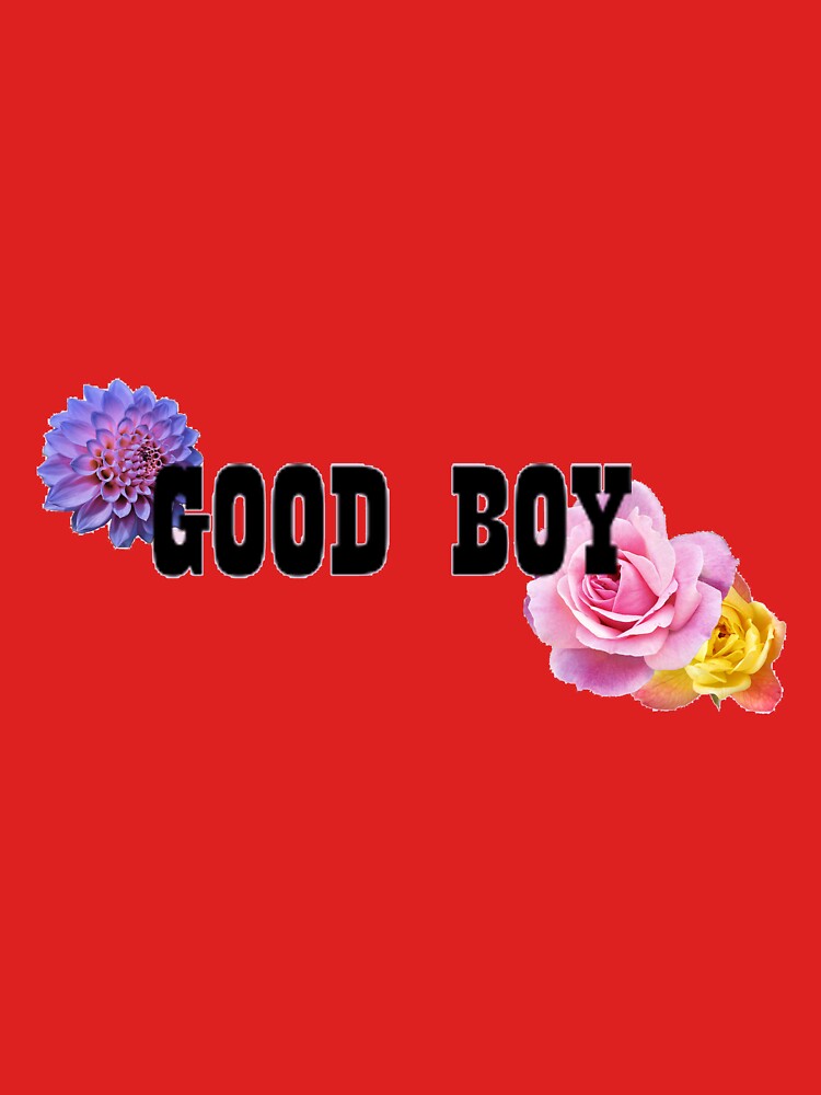Good Boy (Transparent) by Hallagay
