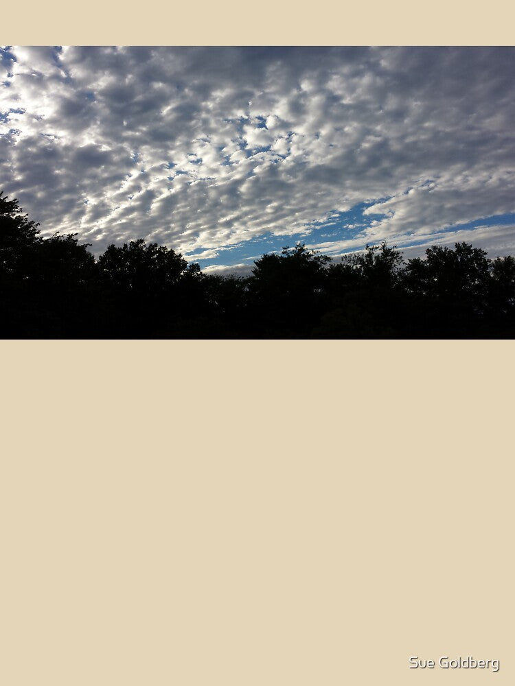 Cotton Balls In The Sky by Sue Goldberg