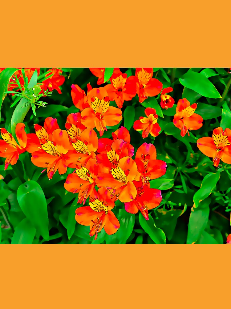 Vibrant Orange flowers summer pattern by santoshputhran