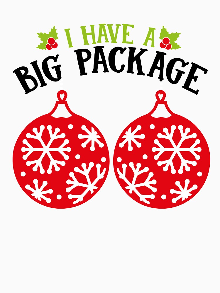 I Have a Big Package Christmas T-Shirt for Men and Women by AllStarMerch