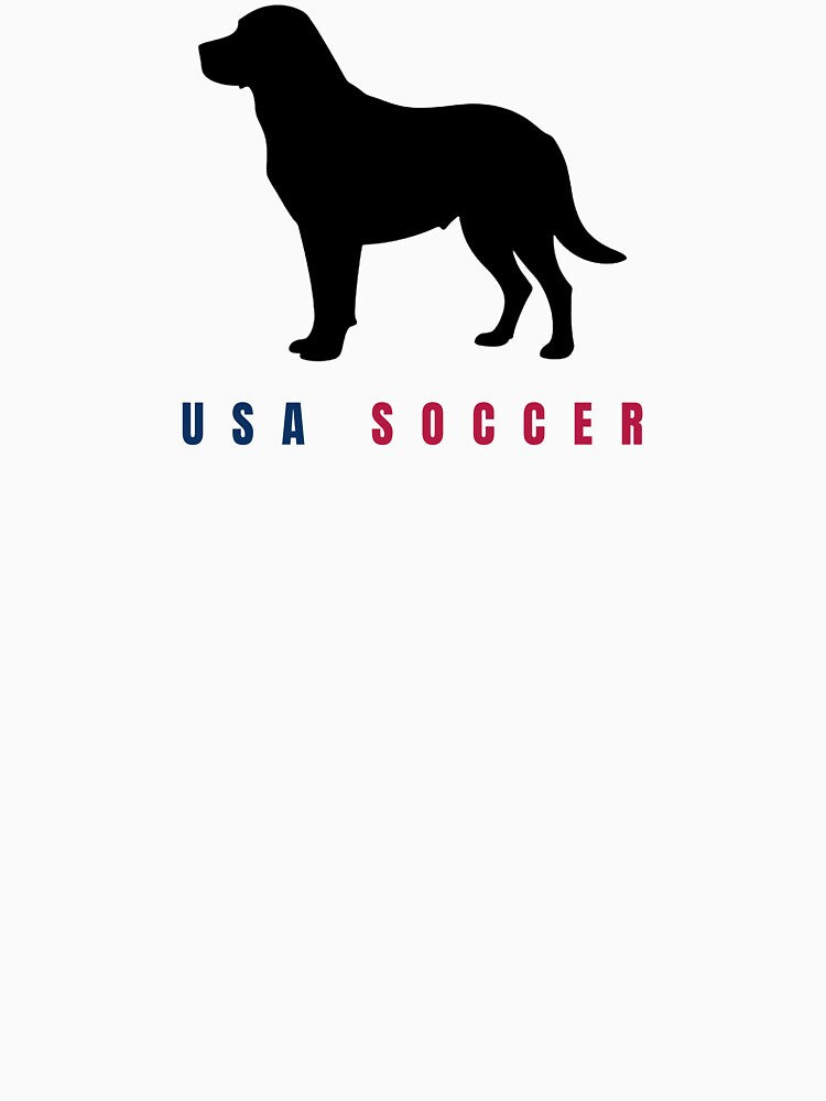 Minimalist Labrador Soccer Line Art Dog by TailPrints