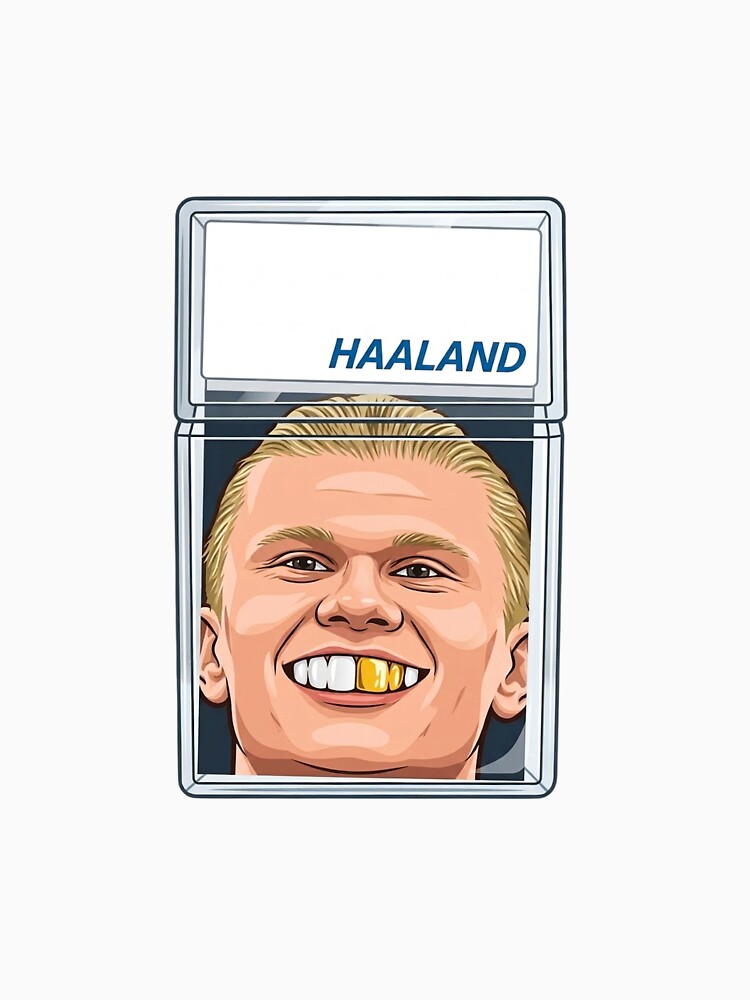 Haaland by chibichibii
