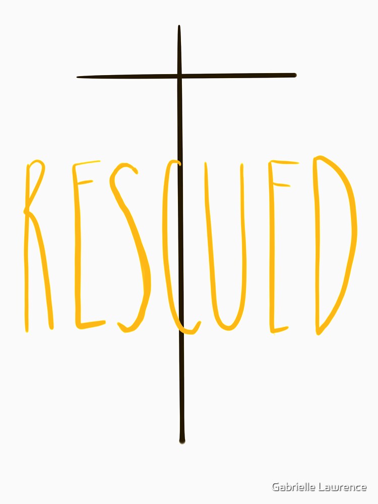 Christian Collection Rescued by Gabrielle Lawrence