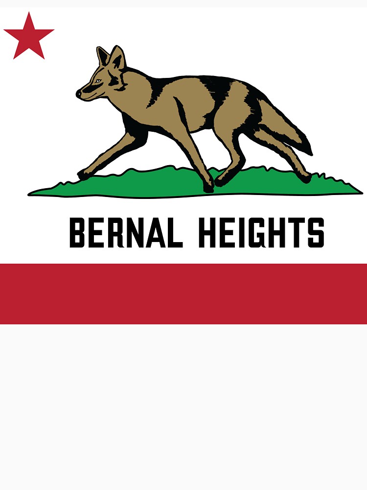Bernal Heights Coyote San Francisco California by rallyp