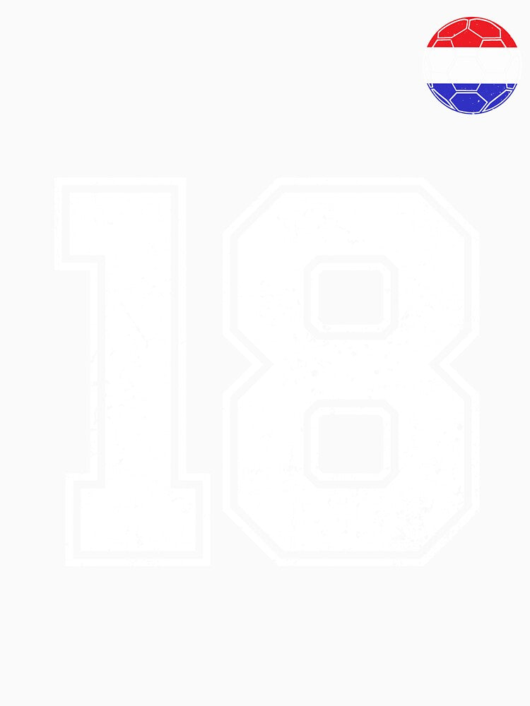 Netherlands Soccer Number 18 Vintage Sports Fan by LiviuGligoros