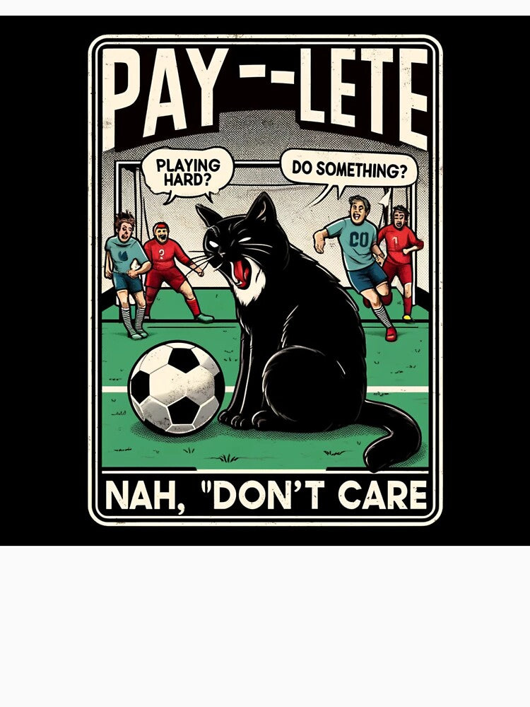 Cat playing football #not by LoveSports101