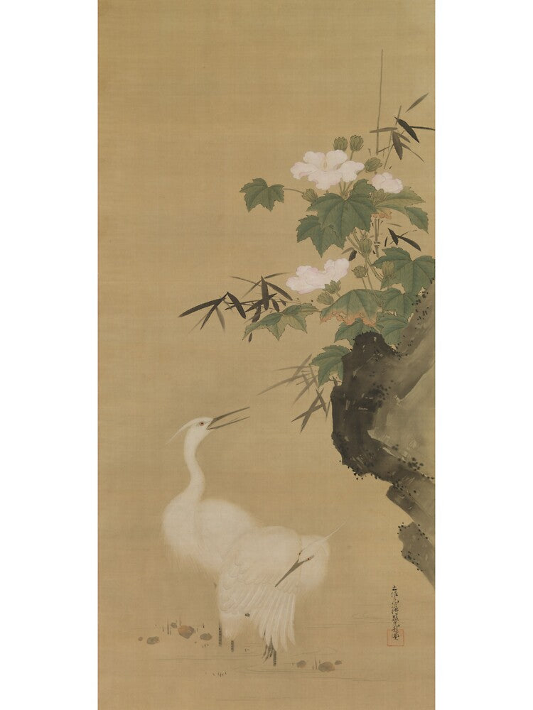 Egrets and Cotton Roses by Ktwop