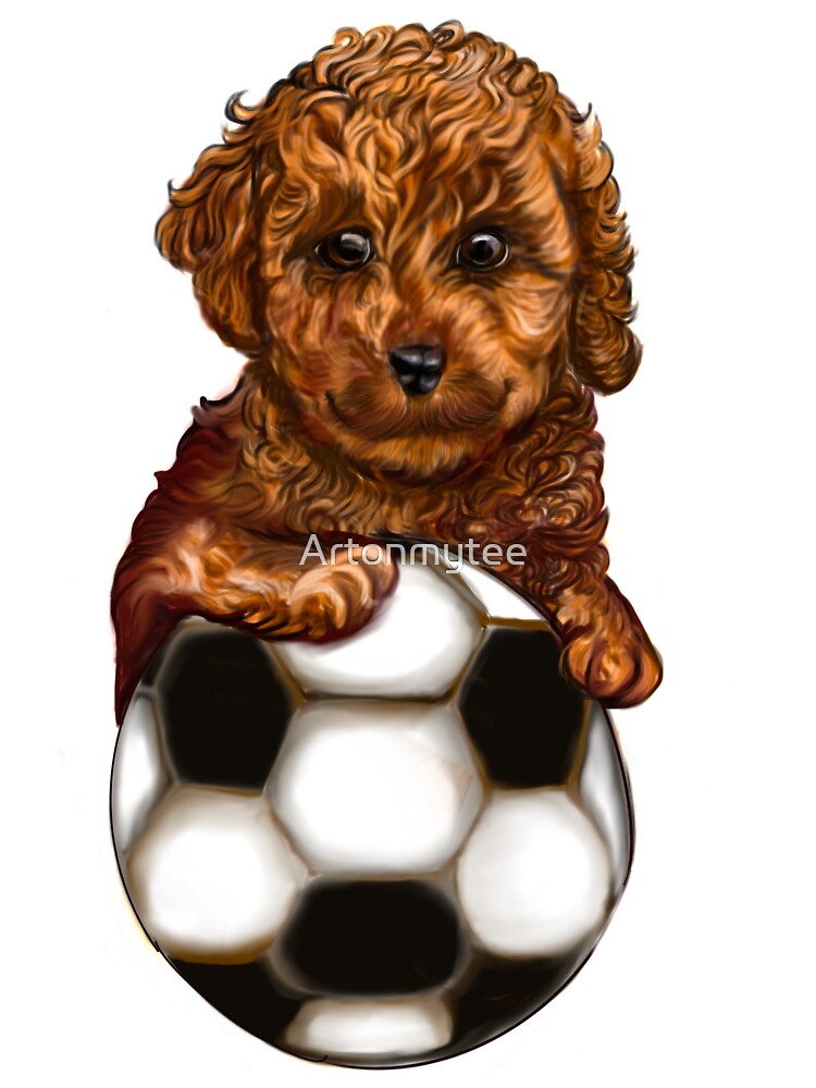 Cavapoo football soccer dog - Soccer playing  Cavapoo  Cavoodle puppy dog holding a football soccer ball  - cavalier king charles spaniel poodle, puppy love by Artonmytee
