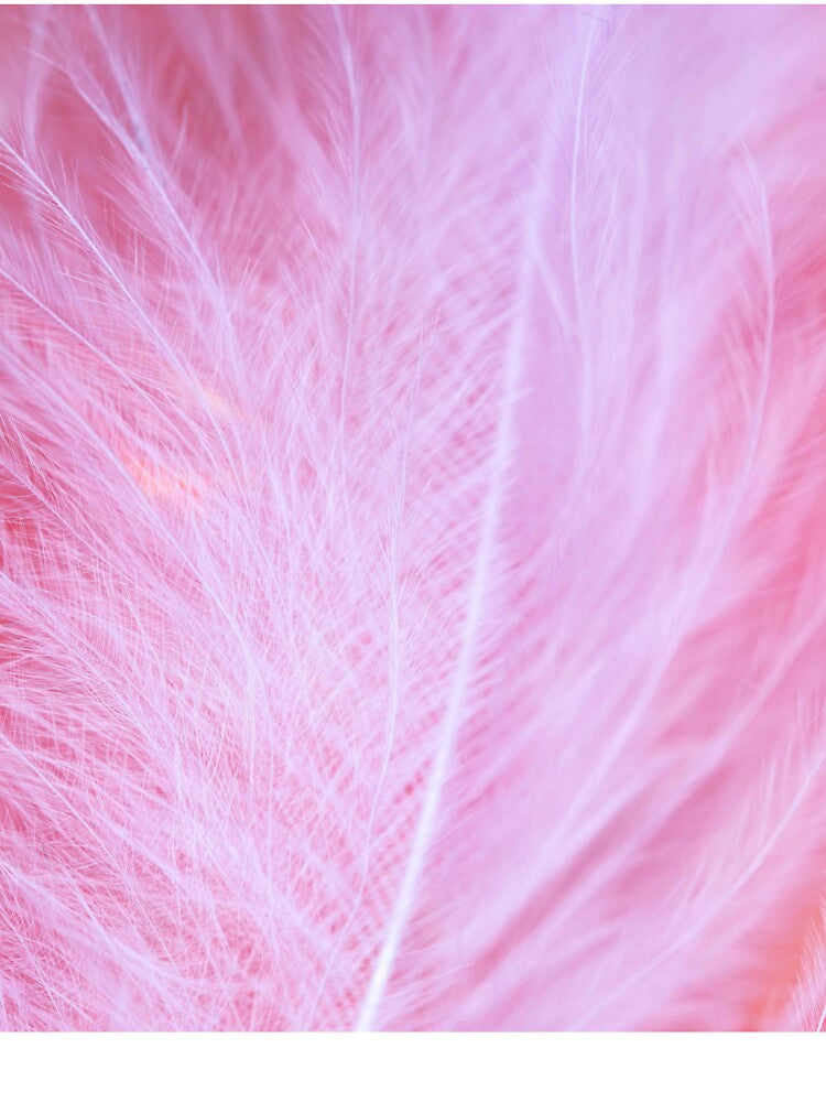 Beauty of Pink feather by Sandy19687