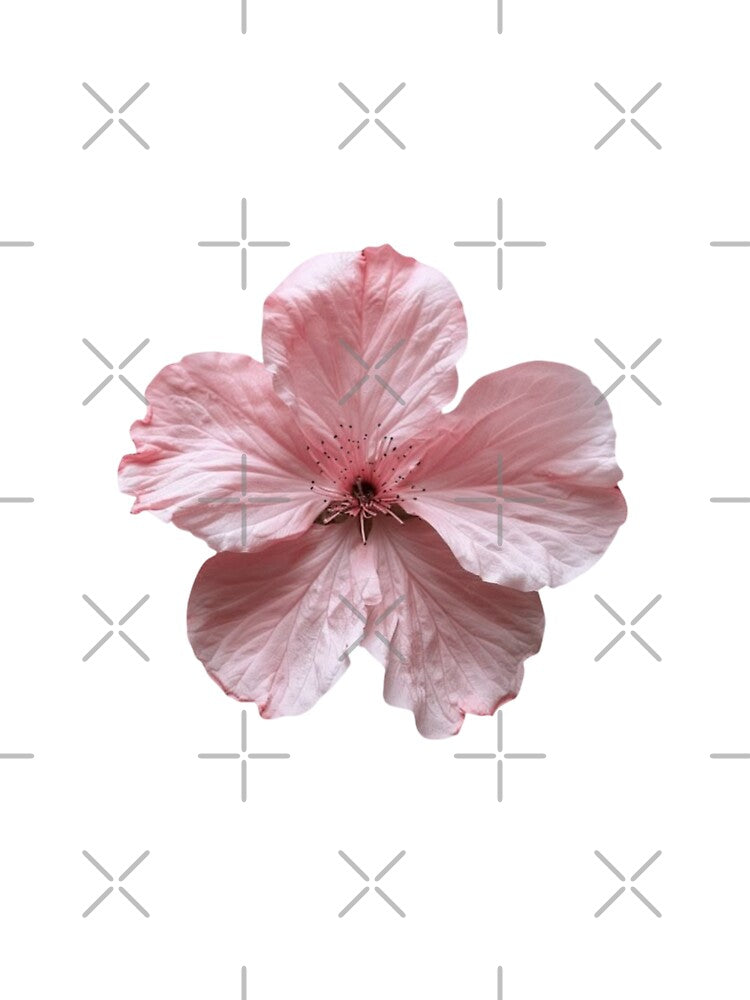 Pink Flower by Luxnox