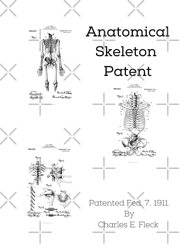 Anatomical Skeleton Patent (1911) by albix81