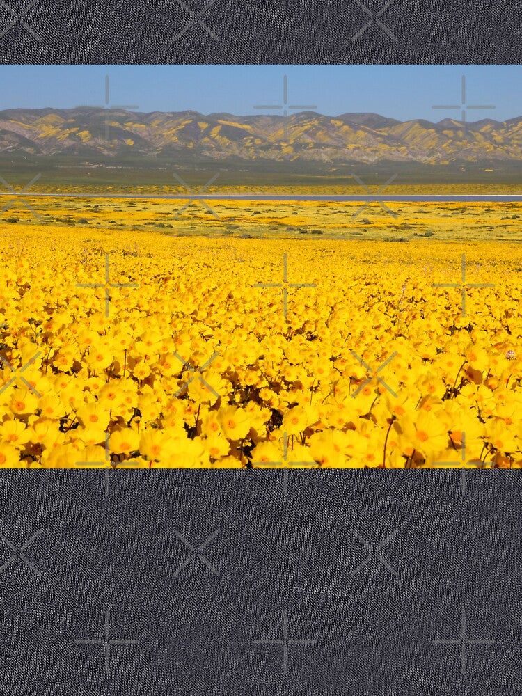 Superbloom - Golden Fields of the Carrizo Plain by MH65Designs