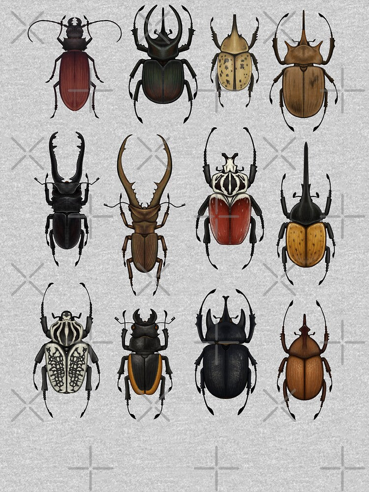 Large Beetles by Tacky Frog