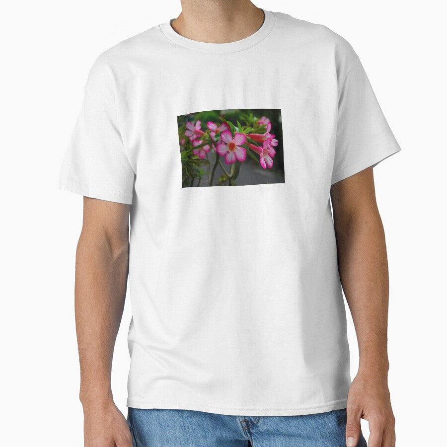 Pink Flowers by pracha