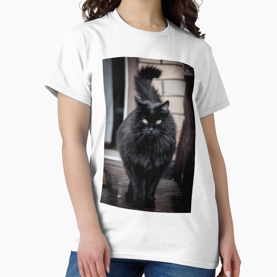 stylish black fluffy cat by Sillygirl101