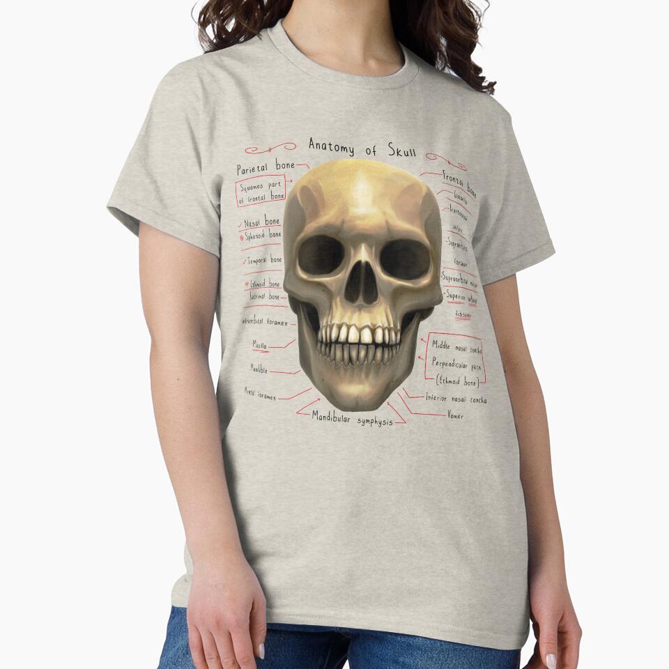 anatomy lesson (skull) by hayrpictures