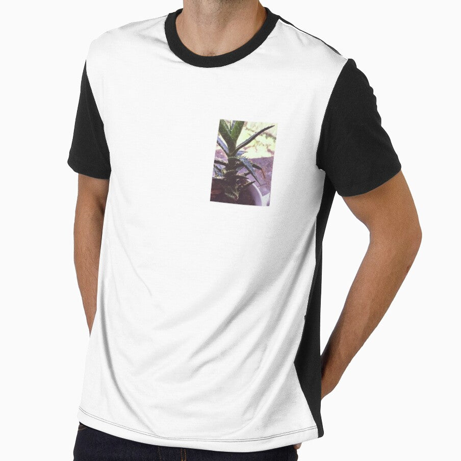 Cactus by HotelBananaMilk