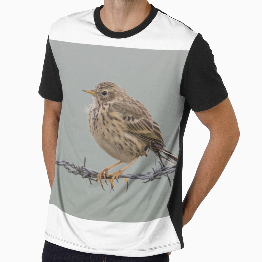 Meadow Pipit - Anthus pratensis by LaurenTucker