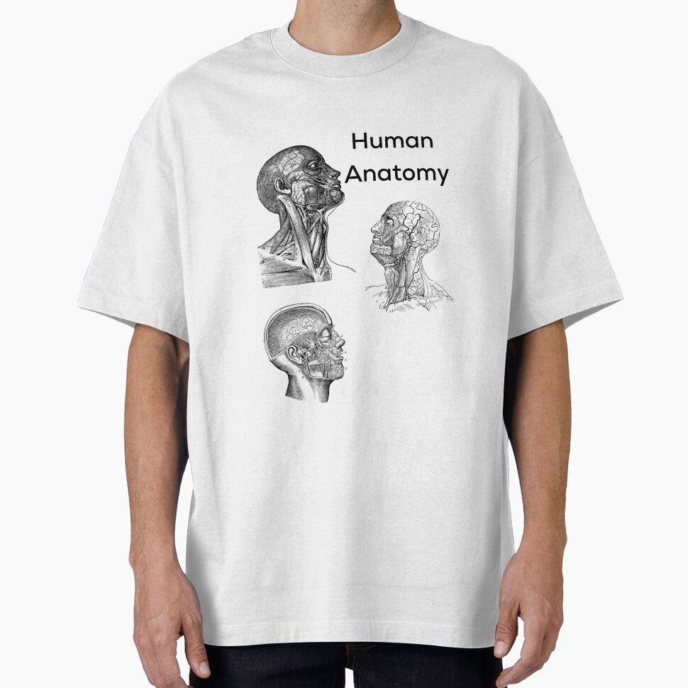 Human Anatomy by albix81