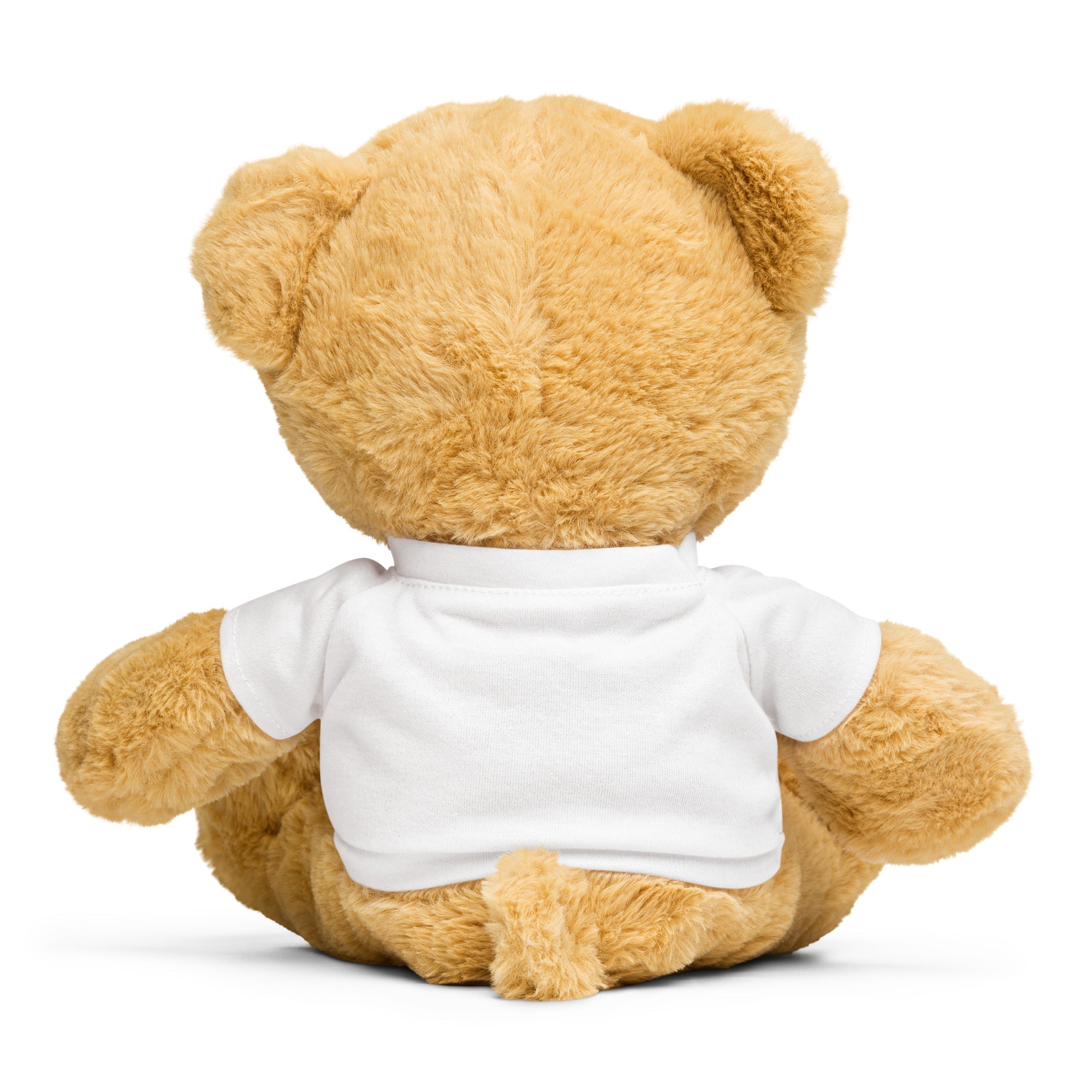 I Farded And Shidded Teddy Bear