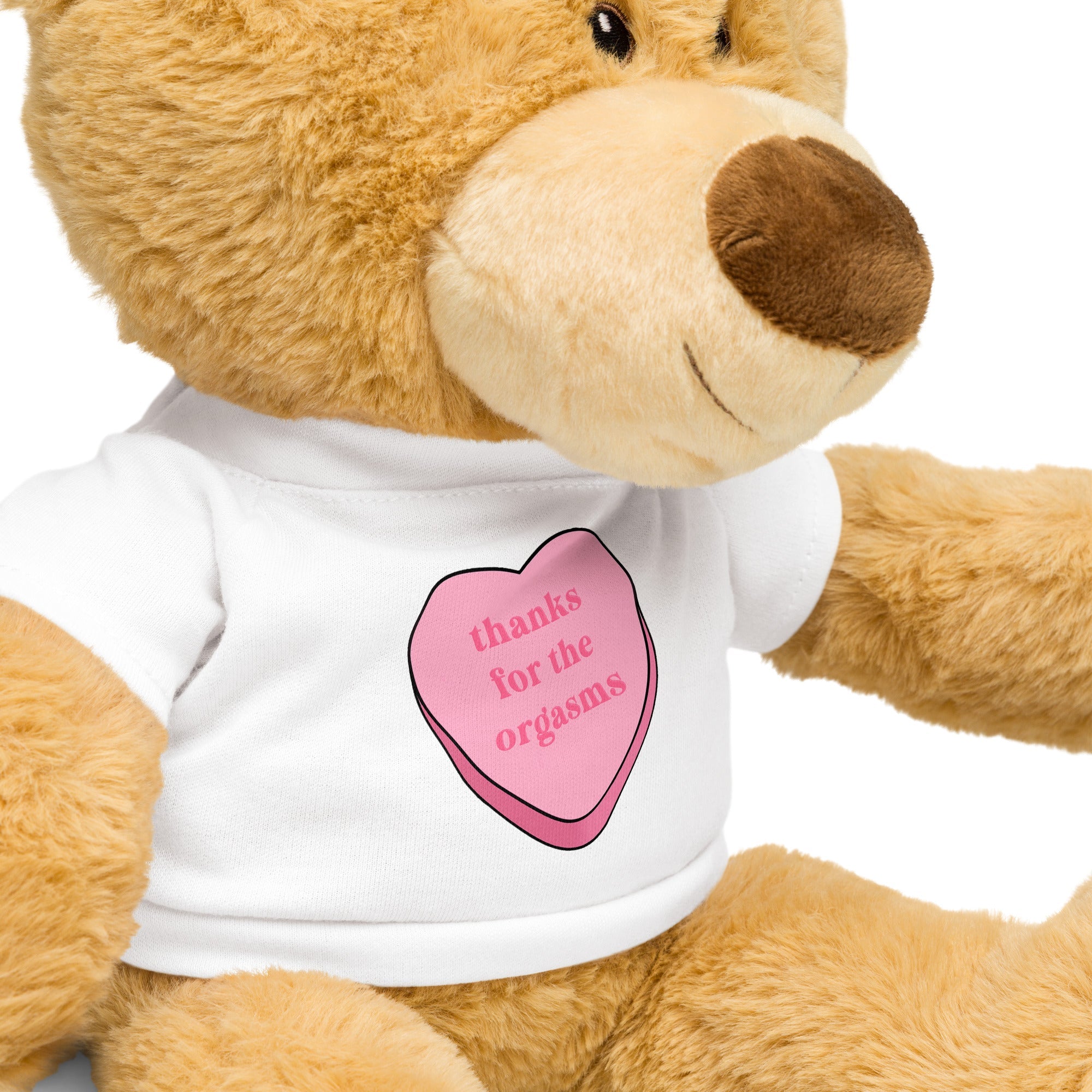 Thanks for the Orgasms Teddy Bear