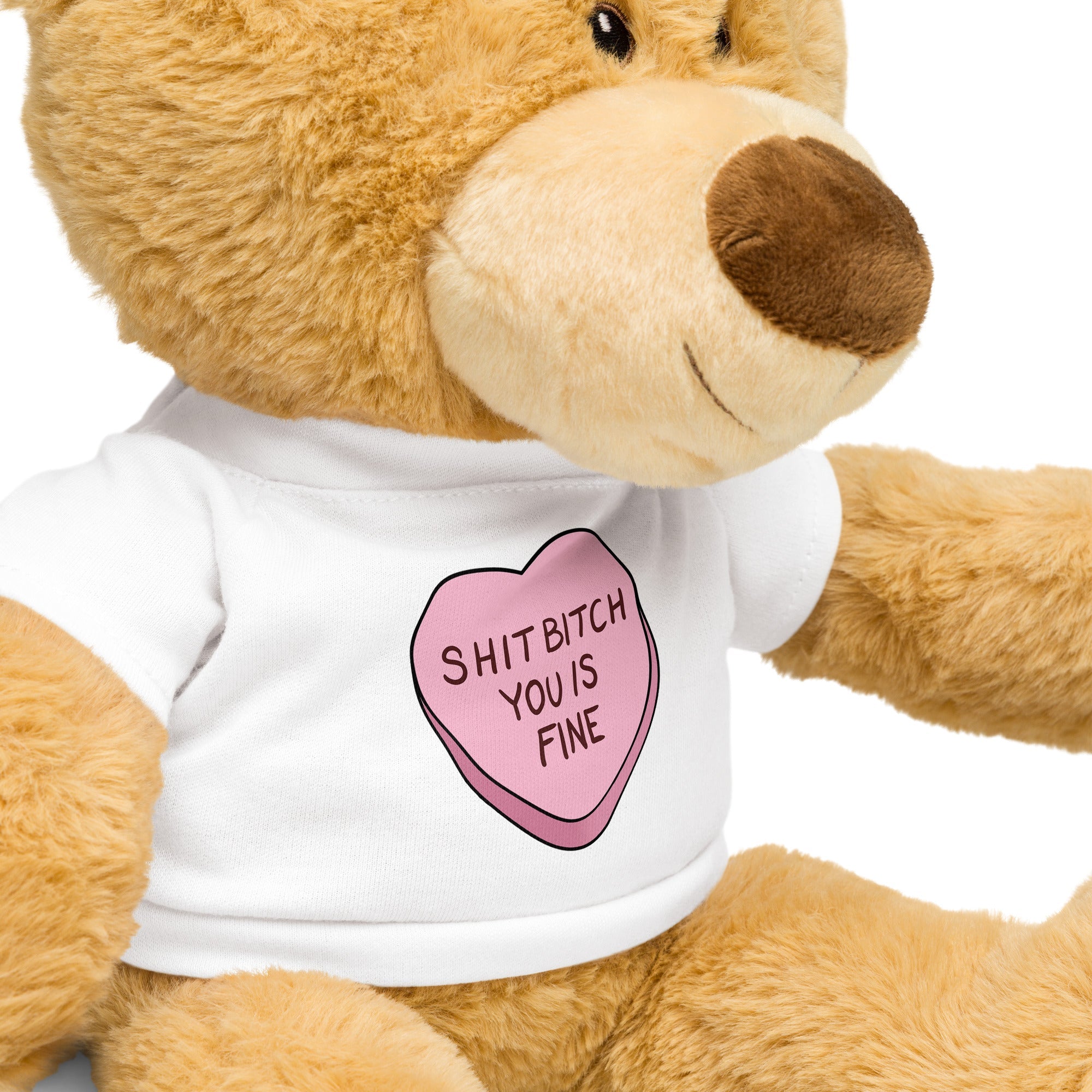Shit Bitch You is Fine Teddy Bear