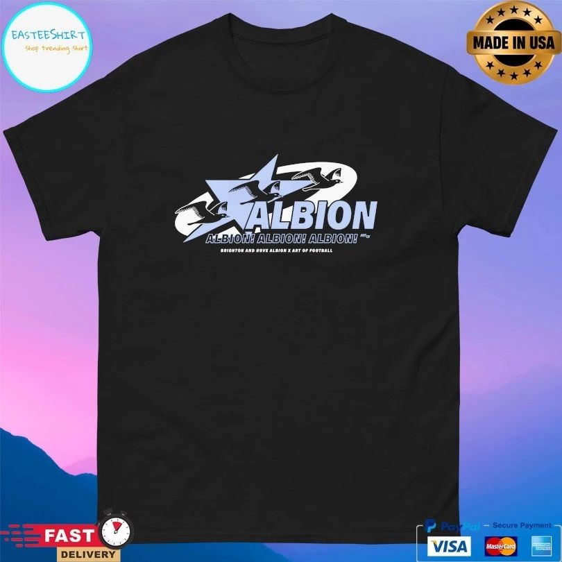 Albion Brighton And Hove Albion X Art Of Football T-shirt